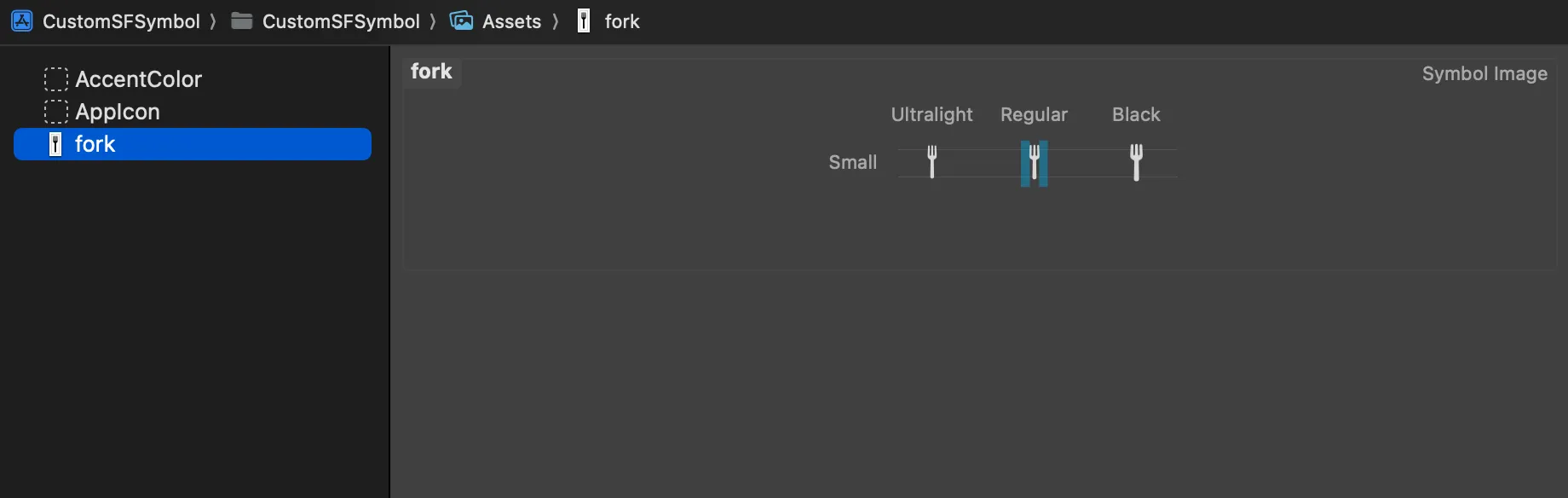 Xcode Assets folder with the new symbol imported